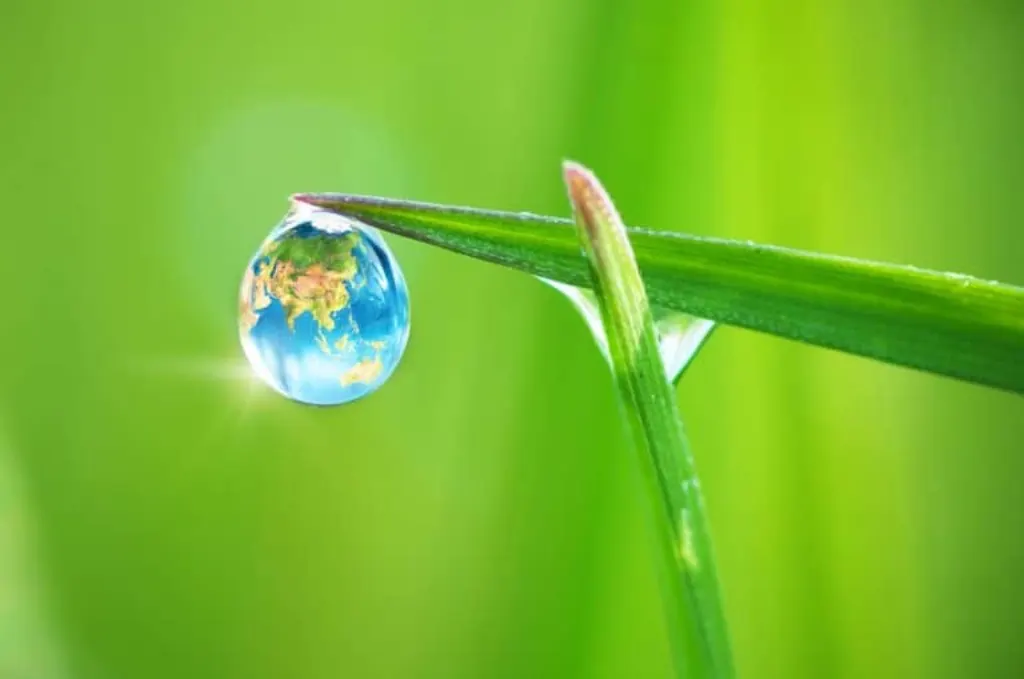 envato elements